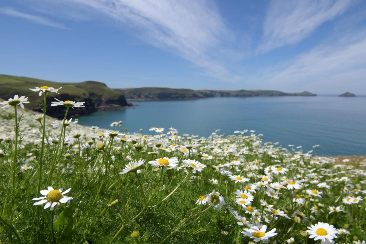 Tranquil Cornish Retreat Close To Port Isaac Beaches And Moor Bodmin Exterior photo