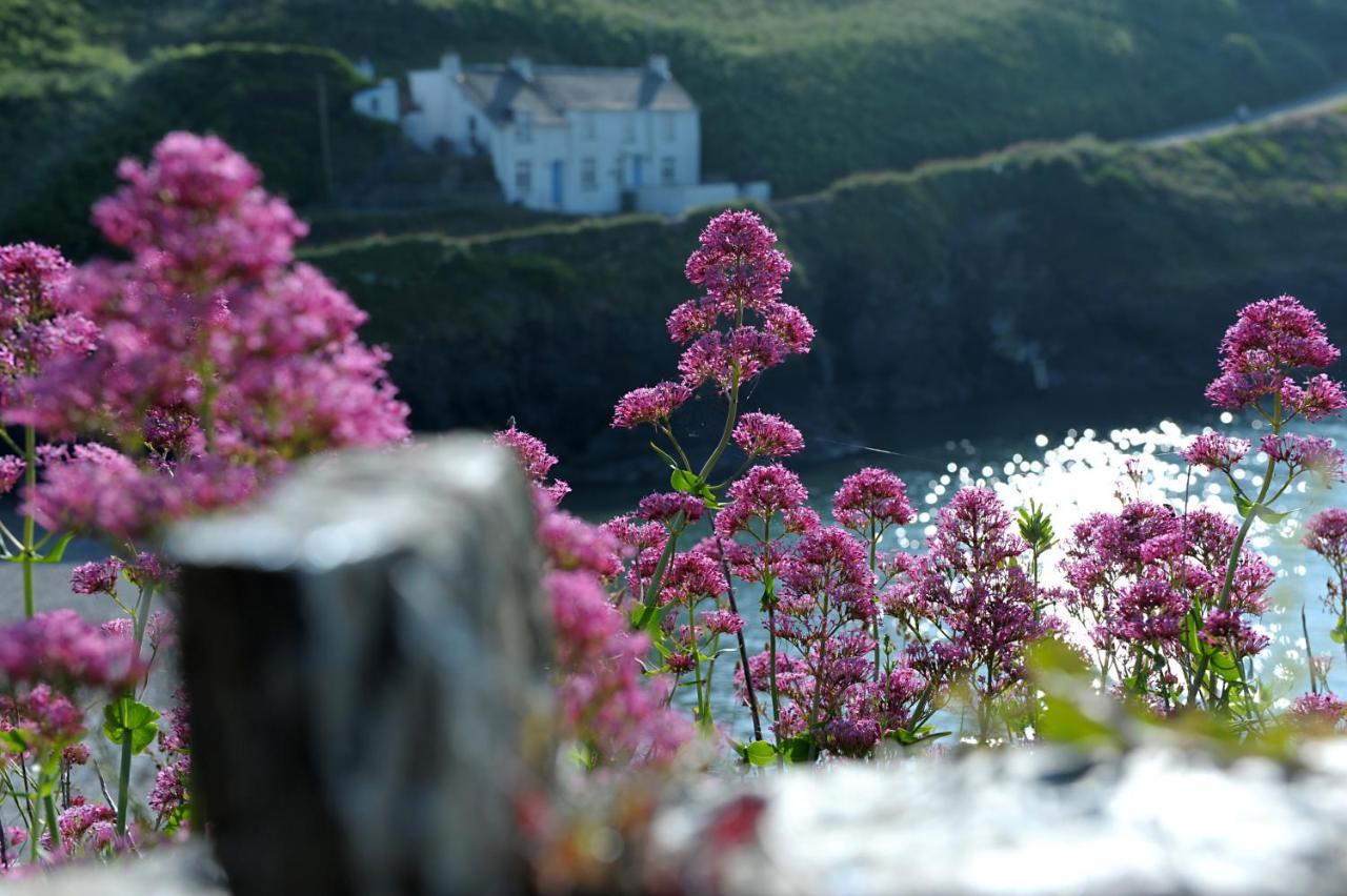Tranquil Cornish Retreat Close To Port Isaac Beaches And Moor Bodmin Exterior photo